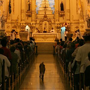 O coroinha e o cachorro