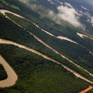 A consciência da gravidade da crise cultural e ecológica precisa traduzir-se em novos hábitos