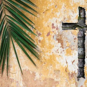 Vivendo a Semana Santa na sua essência e no seu sentido salvífico
