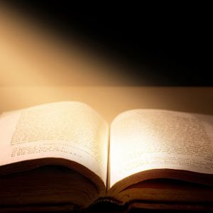 Reflexão: Evangelho de Marcos