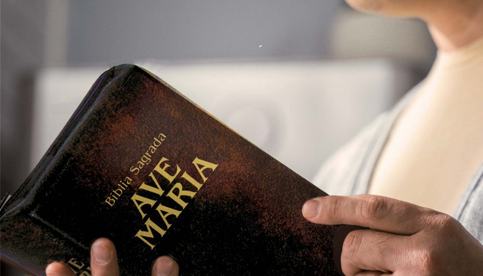 biblia sagrada e curso completo de latim